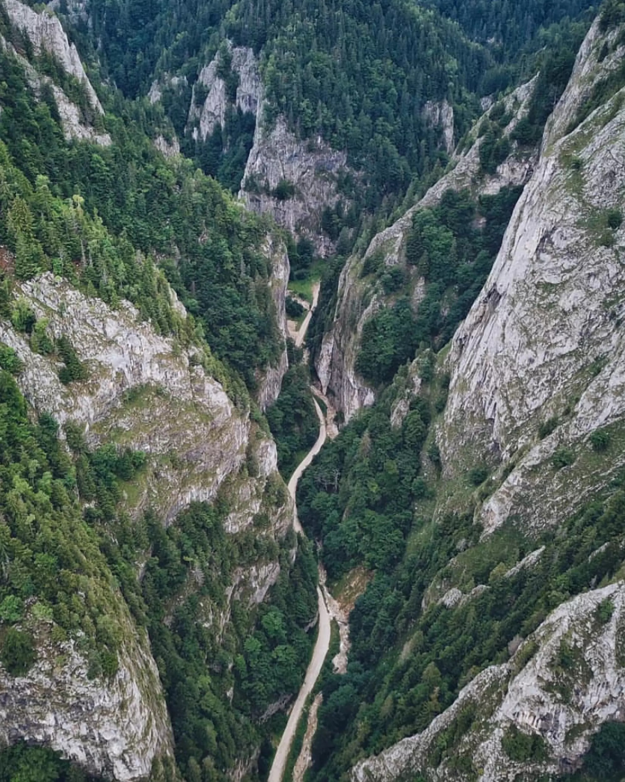 Zărnești Canyon: Brașov's Hidden Natural Wonder